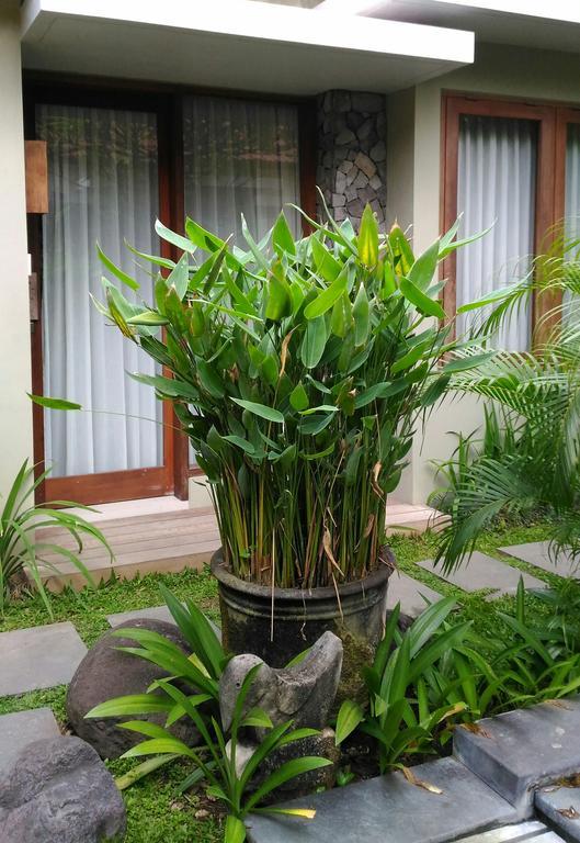 Uma Karan Hotel Kuta Lombok Exterior foto